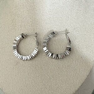 Elegant Silver Hoop Earrings
